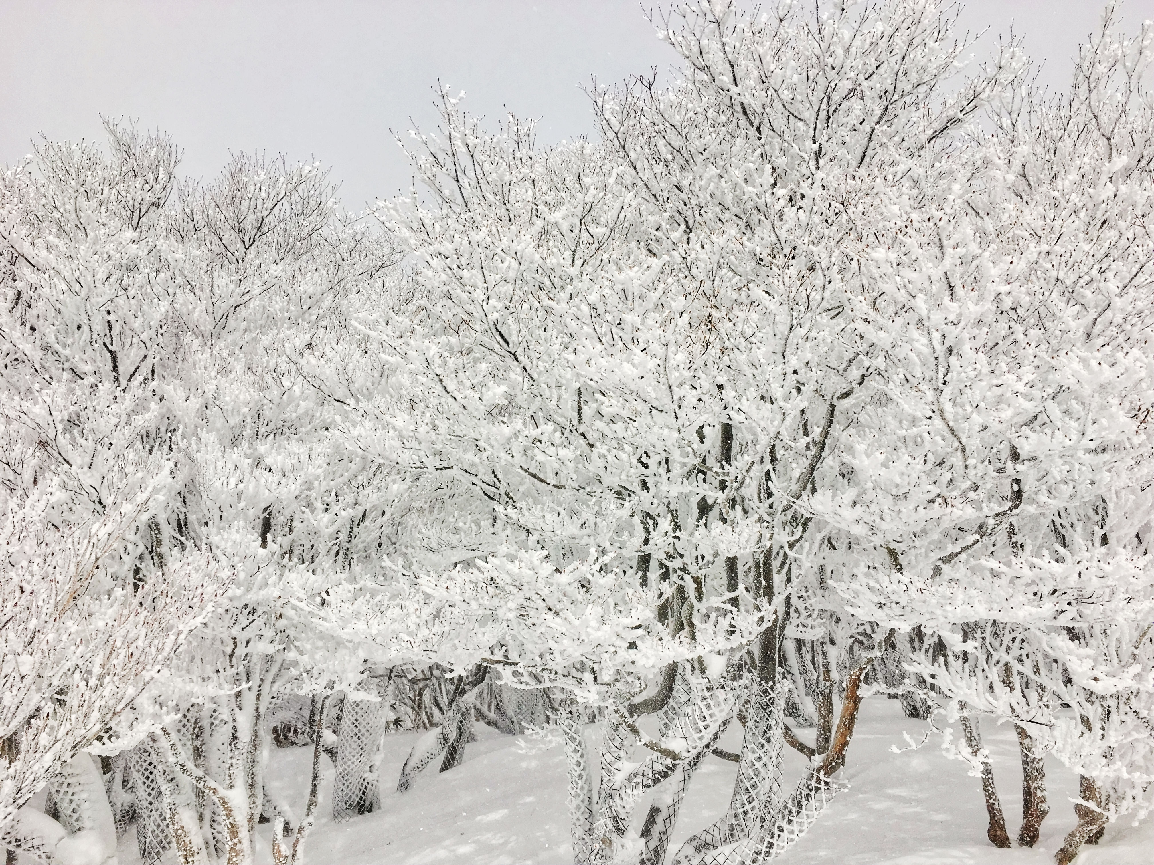 御在所缆车旅游图片御在所缆车旅游景点图片御在所缆车自助游照片 穷游网 移动版