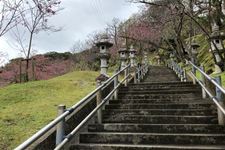 名護市公园 植物园推荐 名護市公园 植物园介绍 名護市公园 植物园攻略 穷游网