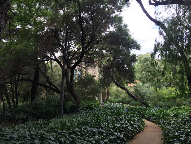 西澳大利亚大学旅游图片 西澳大利亚大学旅游