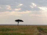 与动物同行,2012年7与的肯尼亚12日