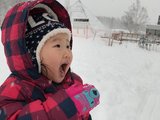 小眼睛看世界之冬日的温暖（带3岁娃日本东京、北海道十四日游）