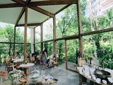 曼谷咖啡 | PATOM ORGANIC LIVING · 走進小森林有機玻璃咖啡屋