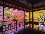 大自然的化妆舞会，浓情京都！2017   我们看到了醉美的秋！
