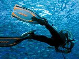 泰国涛岛——开放水域潜水员（PADI：OW）考证全攻略