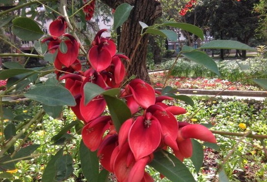 阿尔赫西拉斯旅游图片 阿尔赫西拉斯旅游景点