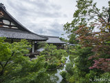 探索京都寺庙之美