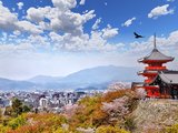 【已完结】日本关西旅行独家经验分享，用有限的时间，尝遍每一份精彩（大阪、京都、奈良、姬路、宇治）