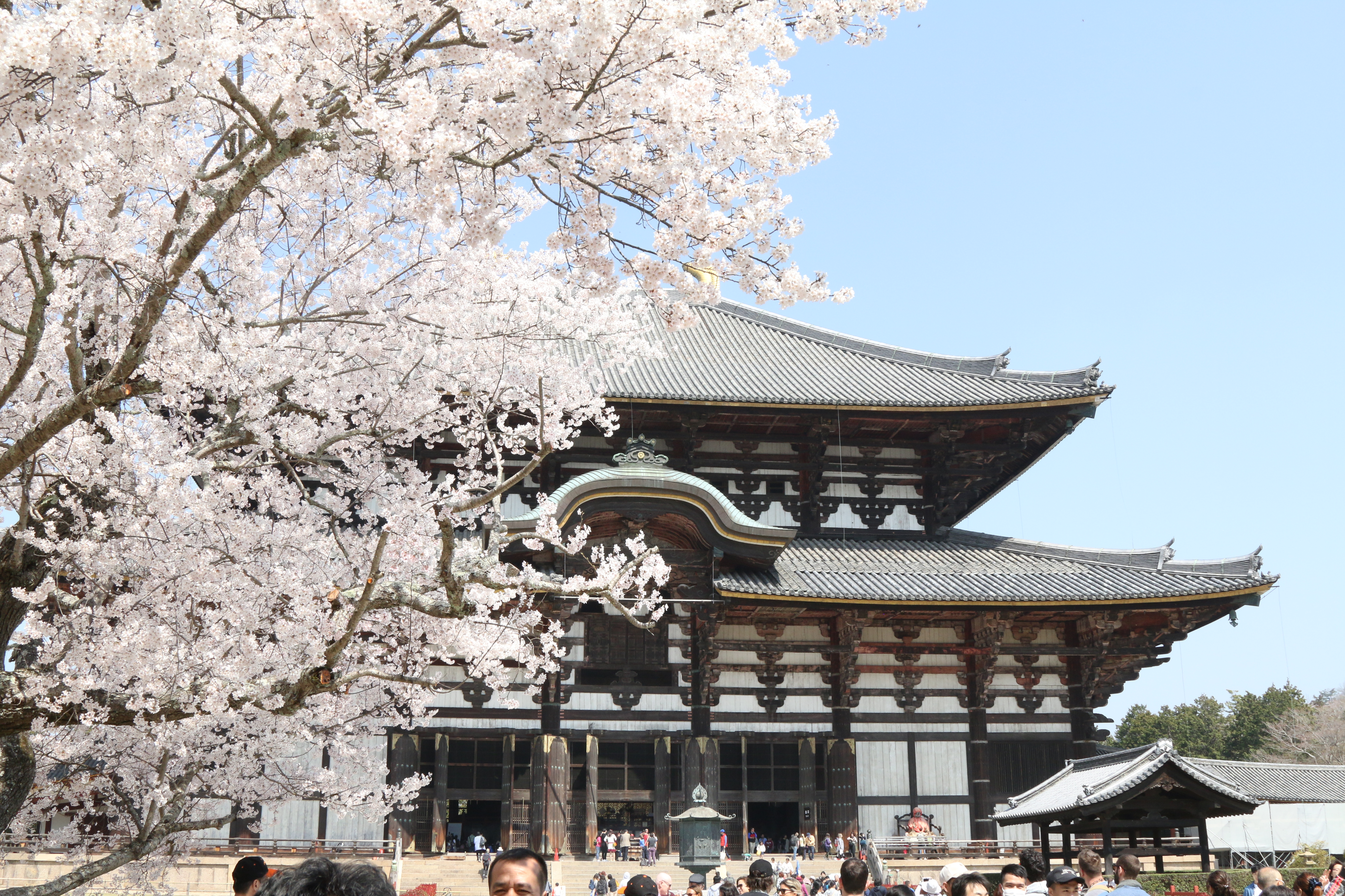 群马县游记 群马县旅行游记 群马县自由行游记攻略 穷游网