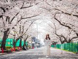 东京追樱之旅，无处安放的粉色少女心（2018赏樱攻略）