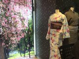 我和旅伴的樱花季和服之行——东京浅草HANA和服体验