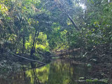 秘鲁深度游攻略之探秘Iquitos亚马逊热带雨林-干货精华