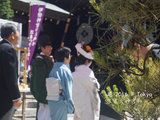 东京，大神宫里的婚礼