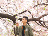 【辉游记】2018日本花见 赏樱温泉之旅 （图文+视频 全）
