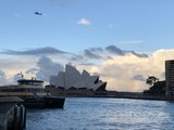 一个人的背包客 IN 澳大利亚 悉尼猫本 7日游
