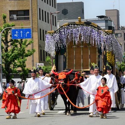 瞌睡虫虫 2018年5月扶老携幼京都行 日本 带父母旅行 带孩子旅行 论坛 穷游网