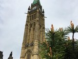 加拿大父母旅游签DIY指南