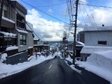 【黄油脸@北海道】在大雪纷飞的北国寄一封情书给你