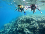 普洱同学的巴厘岛十天冒险之旅--（送给普洱的幼儿园毕业礼）