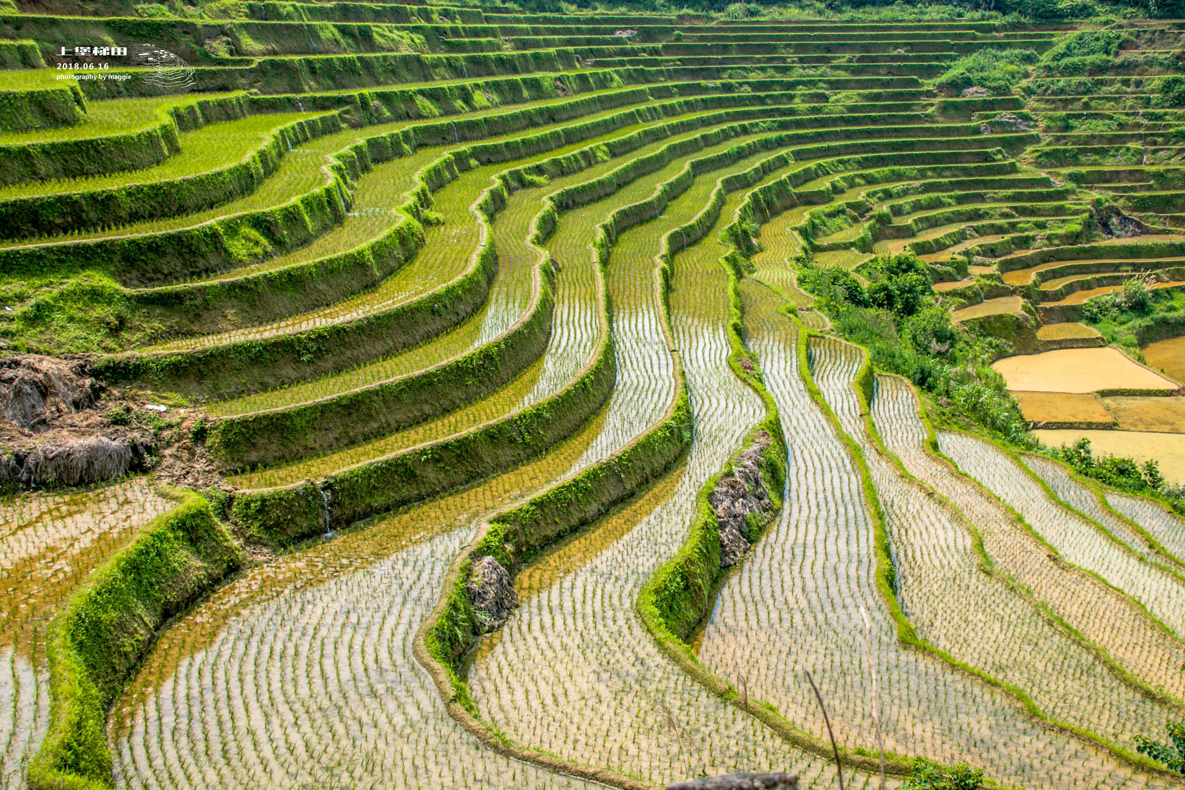 【梯梯梯!梯田】2018年6月端午节3天江西上堡梯田之行