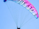 滑翔伞与鸟