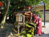 艺伎、茶道、抹茶、鸟居，感受日式慢生活 | 京都一日旅行攻略