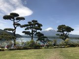 2018.5.1带妈妈去旅行之日本篇——东京富士河口湖