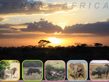 遥远的肯尼亚，难说再见，2大1小首次safari，打造实用贴