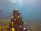 九月初斐济瓦努阿图 自驾潜水跳岛火山
