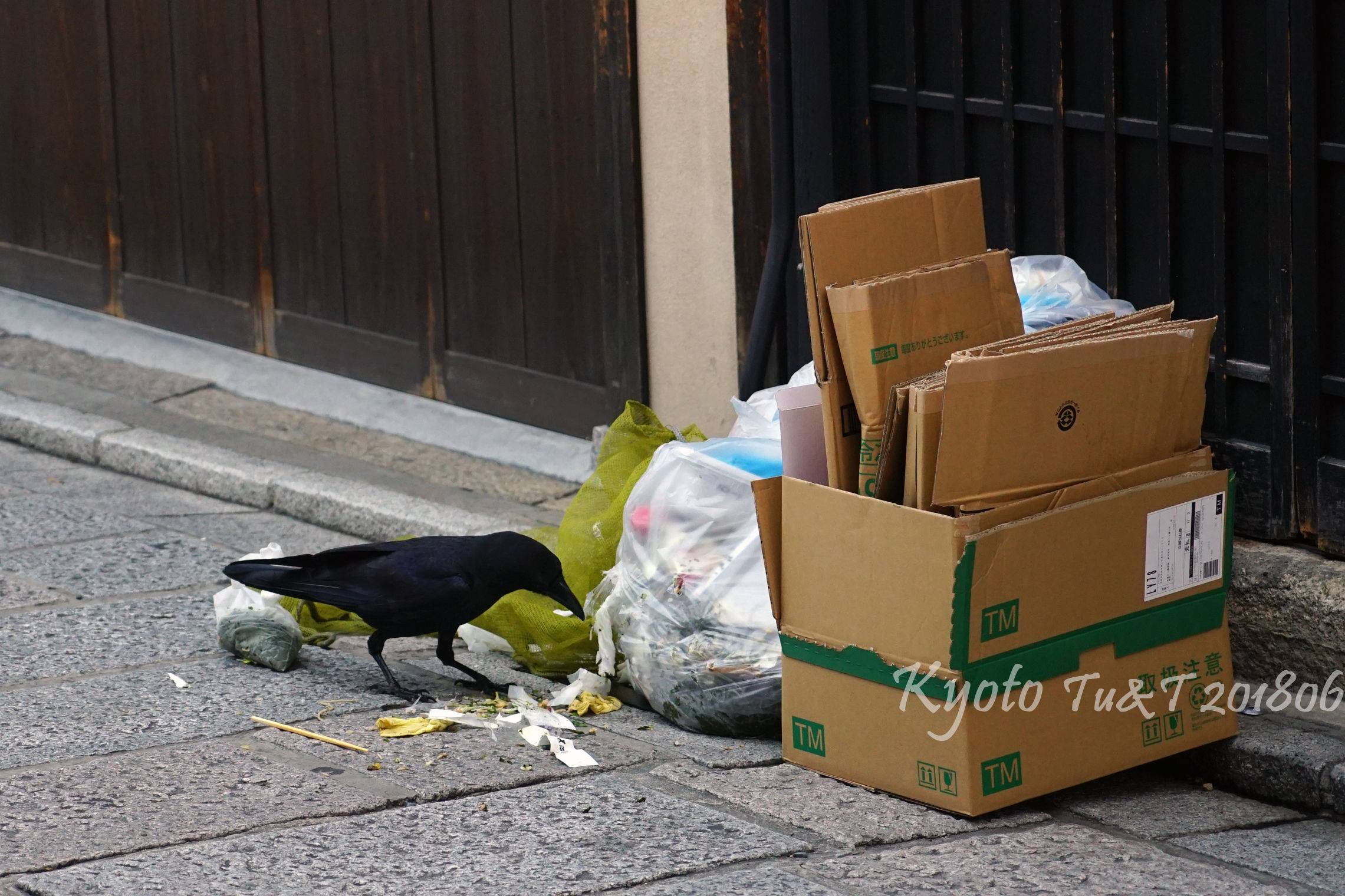 商品越南站在哪刷单-如何进入越南电商批发平台