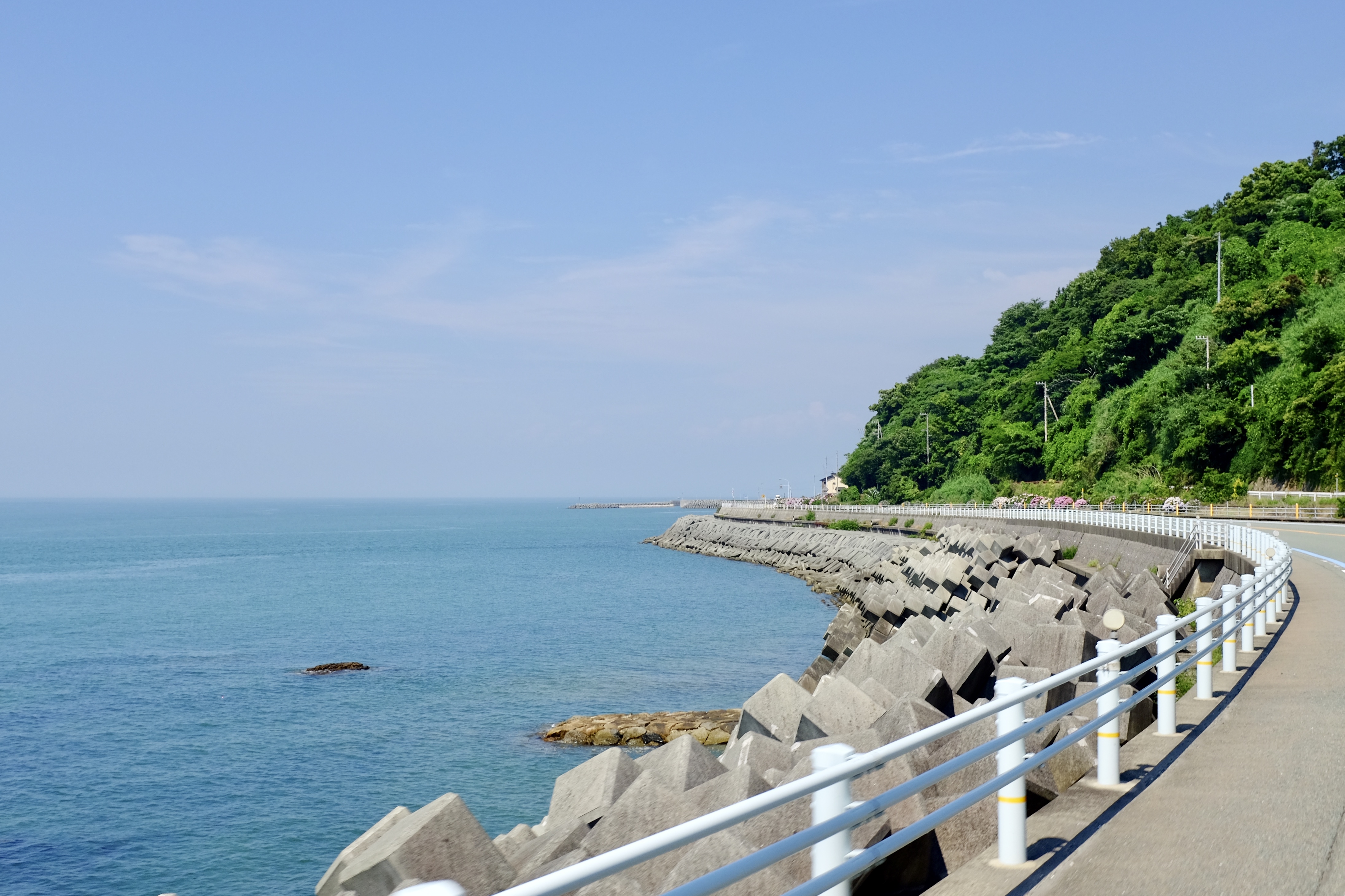 你好四国上篇 匆匆环岛8日之四国遍路第一第八十八番 神山温泉和道後温泉 Jr四国下滩站 3分钟了解清酒及酒厂见学本篇完