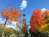 北海道秋色自驾纯玩7天（十胜岳美瑛定山溪含自驾、转机攻略，日本交通规则，酒店美食推荐）