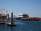 悉尼-費沙島-大堡礁（Lady Musgrave島）沿海自驾游（全文完）
