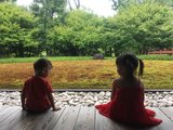 暑假日本关西亲子游完整攻略（带两娃4岁&2岁，附加神户小众亲子目的地介绍）