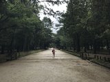 2018夏游东京-京都游记