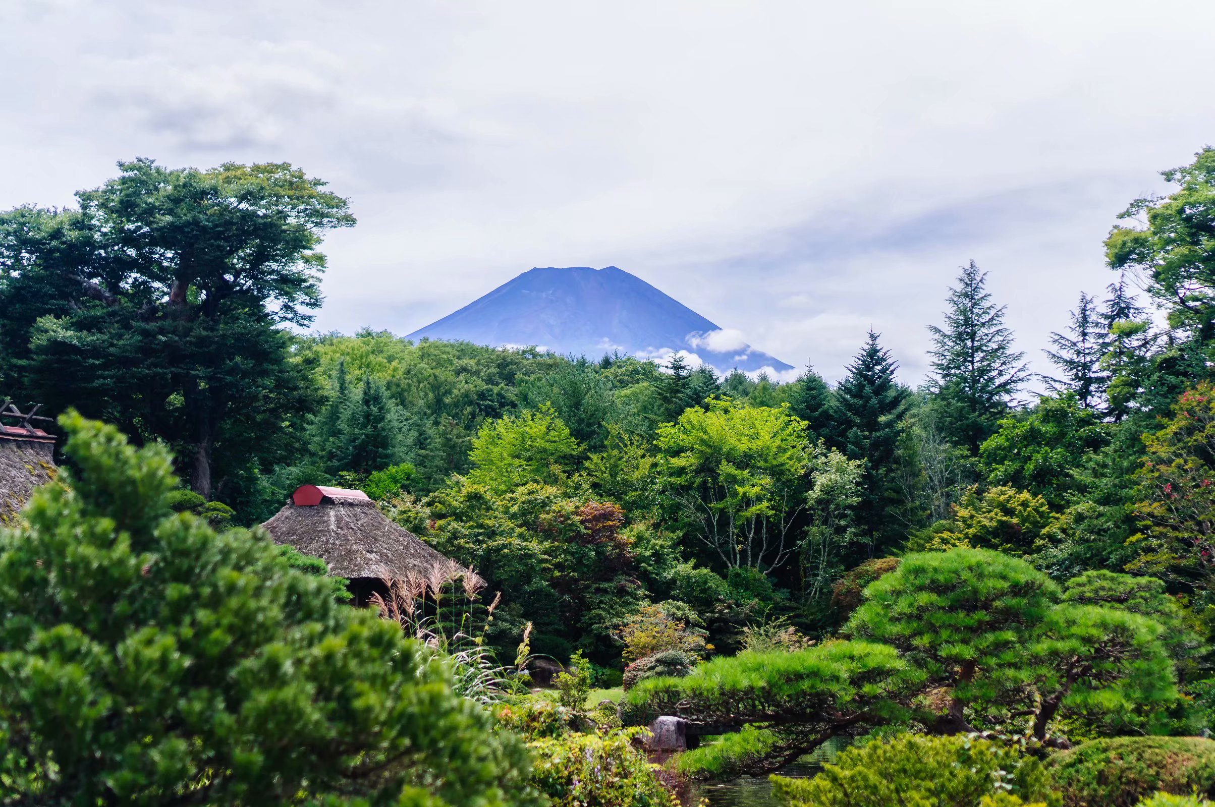 东京镰仓富士山 七日经典自助游 18年东京攻略 经典走马观花行程 美图 吐槽 亲子游 日本 论坛 穷游网