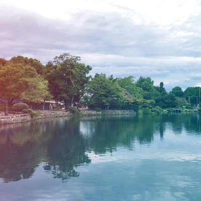 穿梭在北九州 福冈 由布院 别府 熊本 门司港 柯南巡礼 台风潭美 亲子游 已完结 日本 带孩子旅行 论坛 穷游网