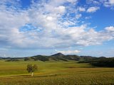 去绿野深处寻找纯净自然的感受-蒙古国游记（5）