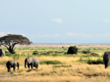 走进非洲肯尼亚，一次震撼之旅