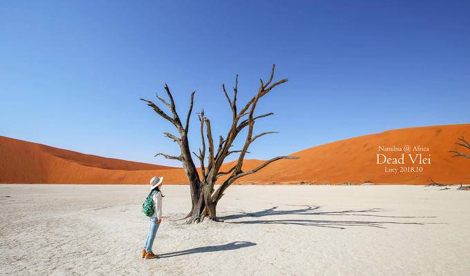 小贱筑师的一路奔波+满满惊喜【纳米比亚】红沙漠·死亡谷·鲸湾·三明治湾·颓废方丹·野奢山庄·埃托沙safari