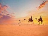 走进迪拜沙漠深处！冲沙、骑骆驼、观星、深入贝都因营地，最地道的玩法就在这儿！