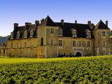 法国勃艮第红酒朝圣之旅