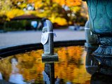 京都红叶名所巡礼2018，带你去看秋的颜色（2019开始计划吧，多美图，已完结~）