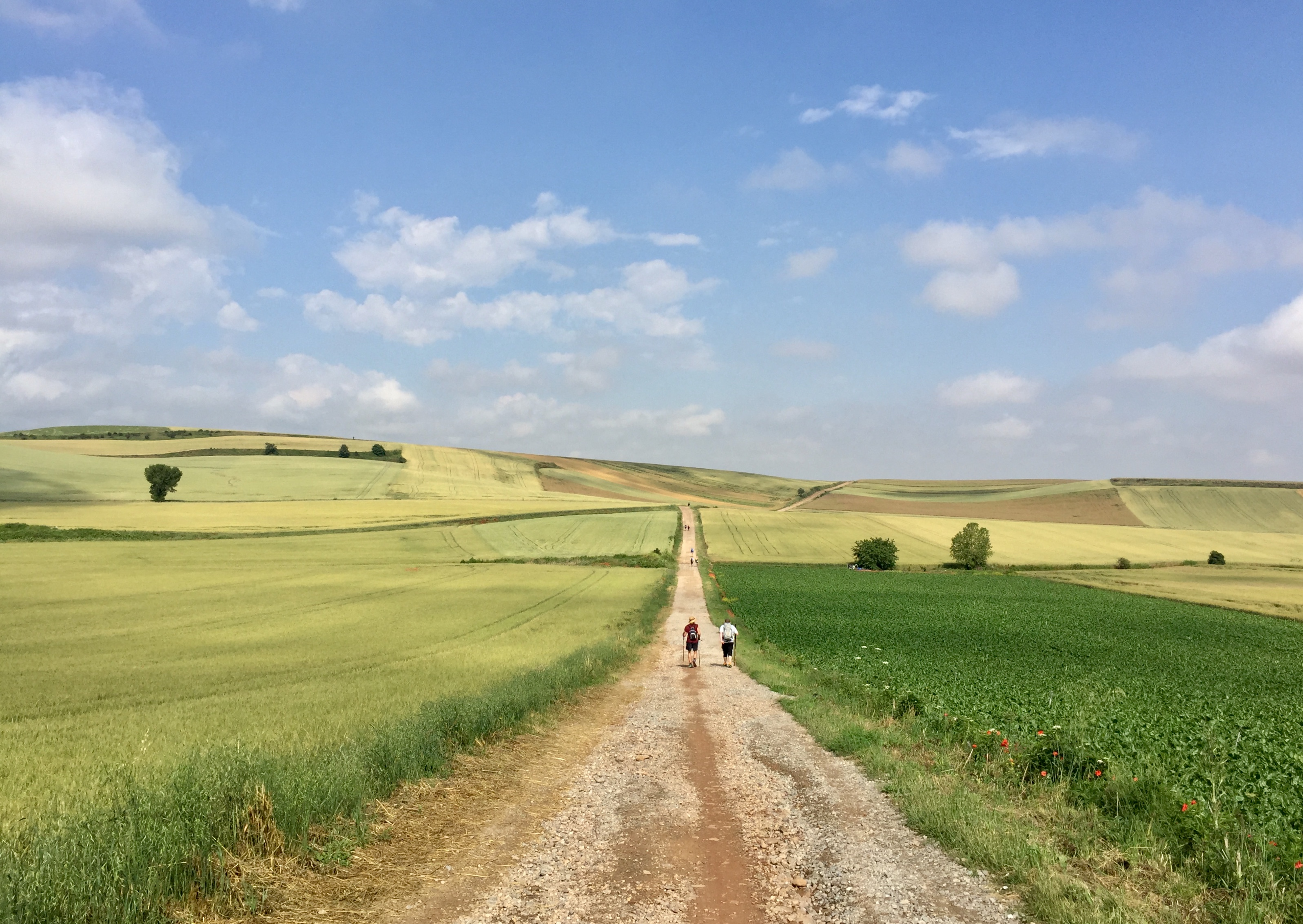 千里之行始于足下 圣地亚哥朝圣之路camino De Santiago 法国线全程 已完结 西班牙 葡萄牙 安道尔 户外运动 论坛 穷游网