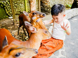 带着孩子住进巴厘岛的动物园