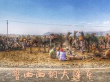 【鲁西西漫游】穷游印度一年之 普西卡（pushkar） 骆驼节 摄影爱好者慎入 被种草可能性太大（结）