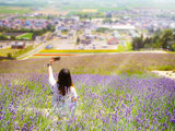 小眼睛看世界~日本夏天12天亲子游~北海道、东京、大阪！（海量图片更新完了~）