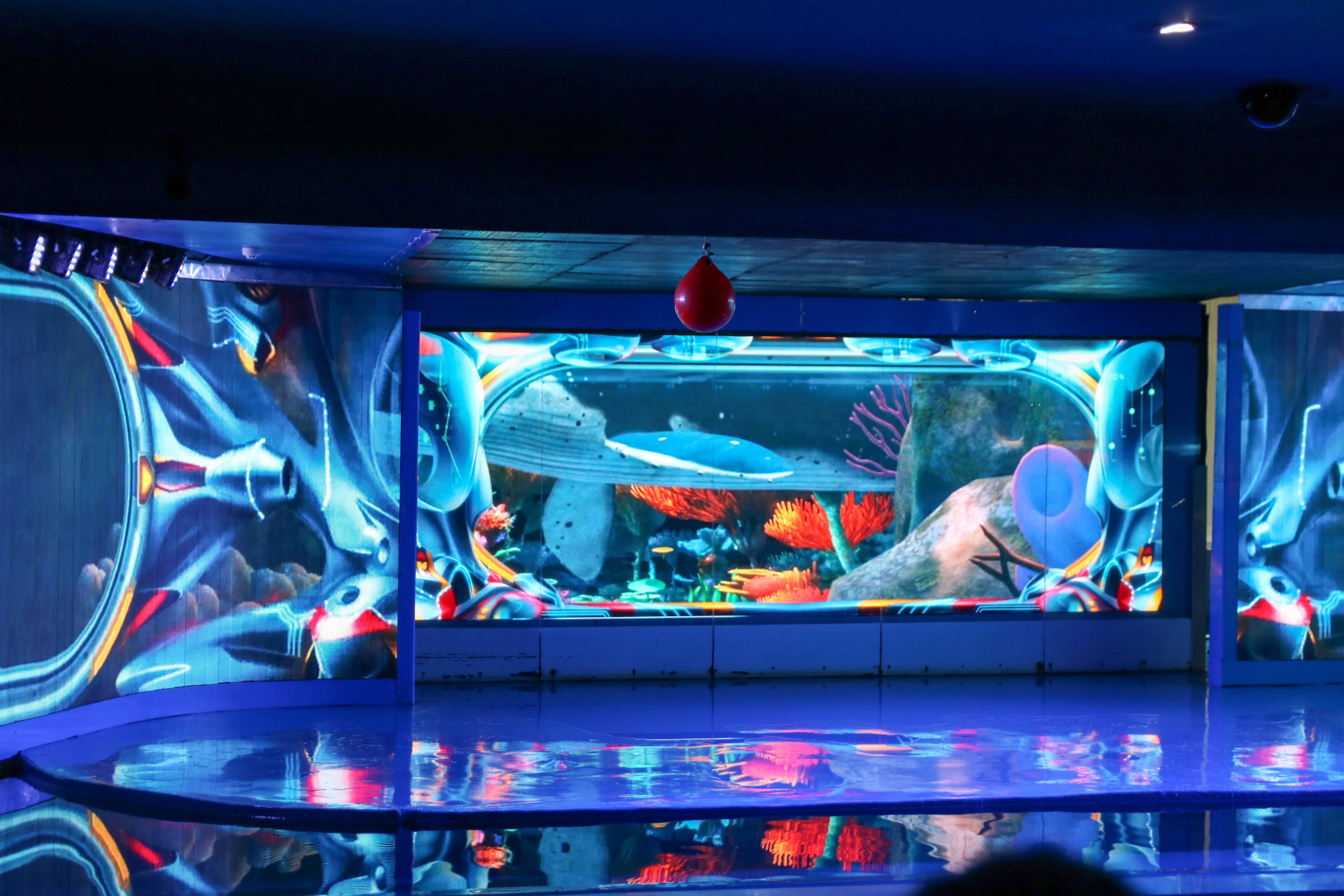 深圳欢乐海岸,欢乐深活节,海洋馆,3d水秀,点亮自在与欢乐