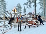 芬兰8天，骑着驯鹿追极光之旅竟然没花到一万块？详细攻略在这里！欠自己的极光旅行该还了。