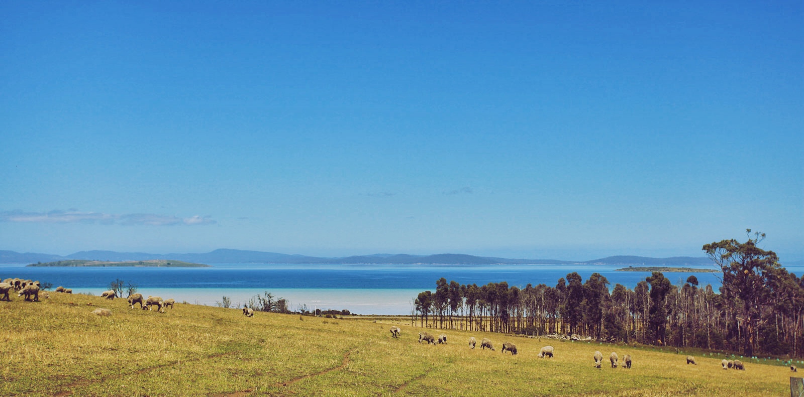 里士满游记 里士满旅行游记 里士满自由行游记攻略 穷游网