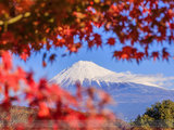 北纬35° 静冈 富士山 感受日本活力之旅（滨松、清水、修善寺、东海道深度行）